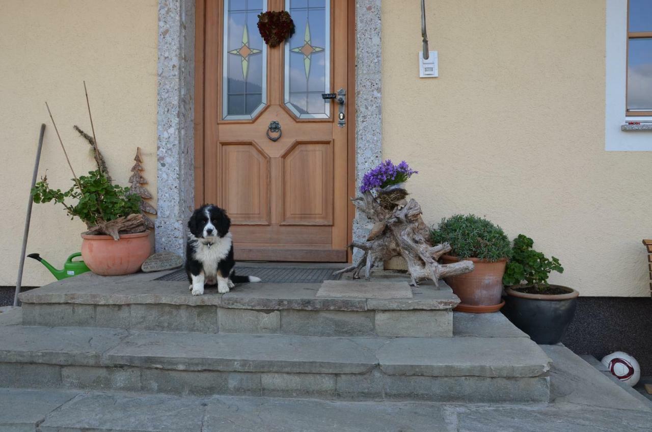 Aubauer Villa Bischofshofen Kültér fotó