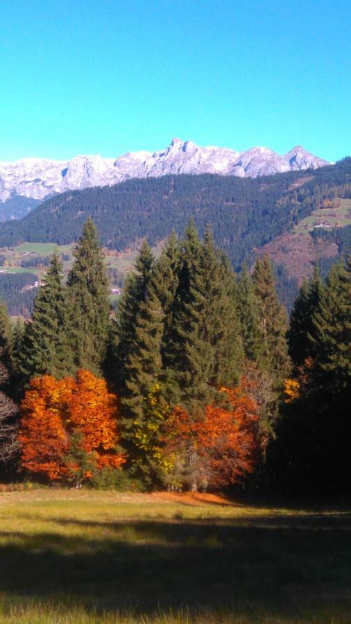 Aubauer Villa Bischofshofen Kültér fotó